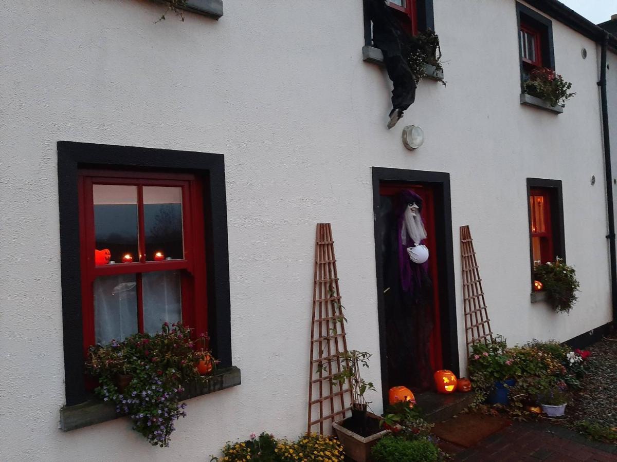 Hotel Nellys Bed And Bikes Westport Exterior foto